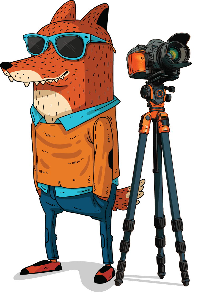 Illustrated fox with a professional camera on a tripod