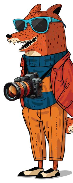 Illustrated fox with a professional camera around his neck